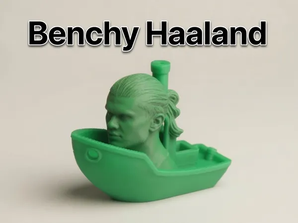 https://makerworld.bblmw.com/makerworld/model/US33178937116bb3/design/b2e9fbbbf7e90788.jpg