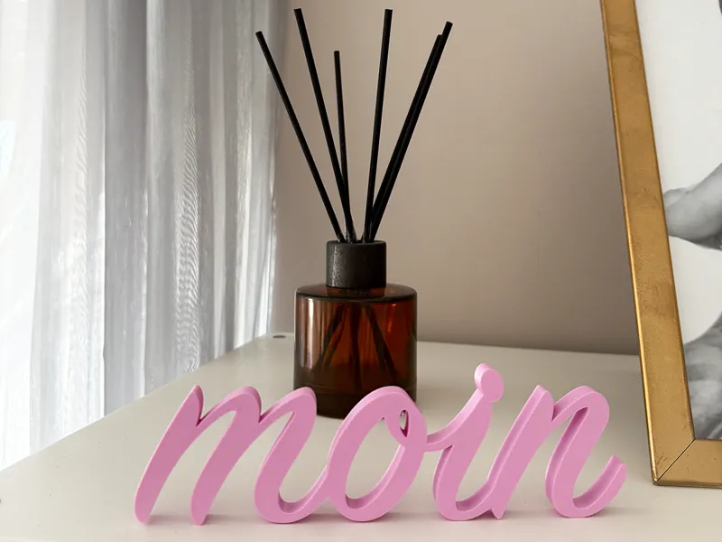 Schriftzug moin