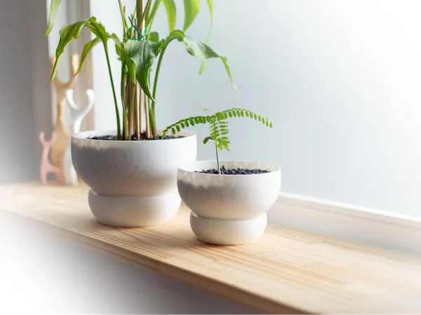 https://makerworld.bblmw.com/makerworld/model/US331c15ada059bf/design/2025-02-19_6dc4fc89f7683.jpg