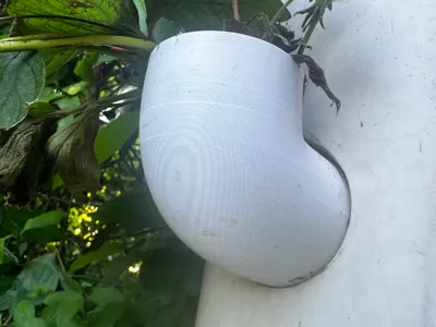 Strawberry plant holder