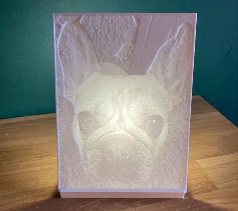 Lithophane picture of cute french bulldog