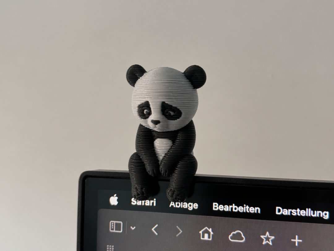 Sad Panda Sitting on Monitor Edge / shelf