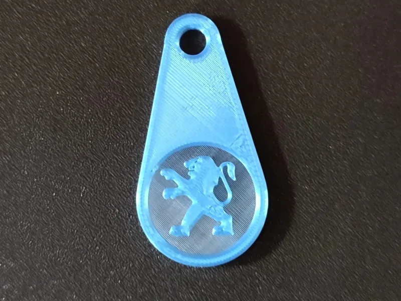 Shopping cart token, keychain