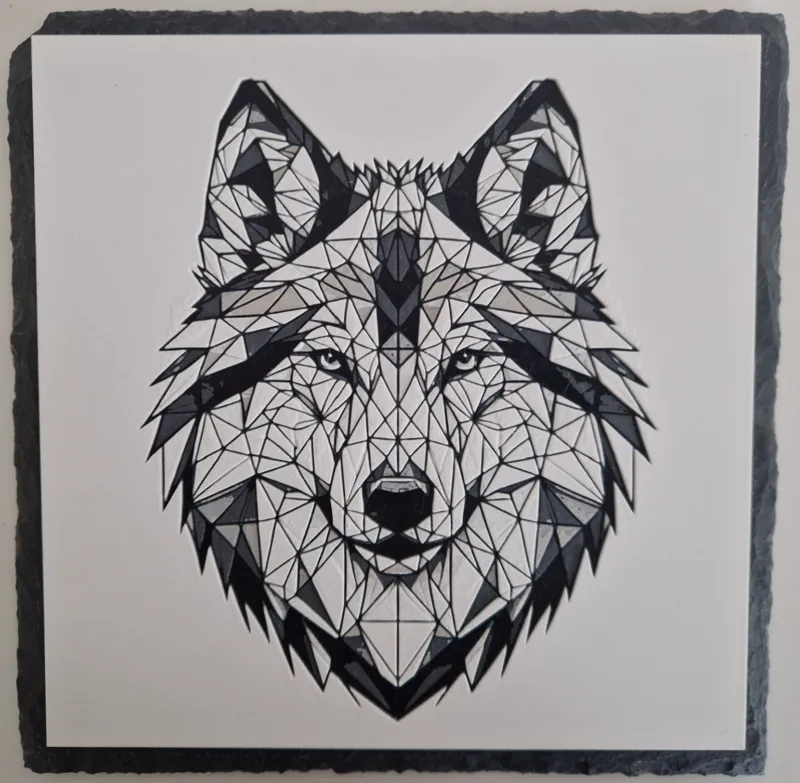 wolf white backround | Wolf weißer Hintergrund