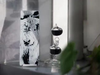 "Highland Cow" TableTile – 3D Kunst im Mini-Format