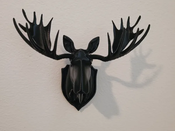 https://makerworld.bblmw.com/makerworld/model/US3340e36982cfbe/design/2025-06-24_b531de7546bec.jpg