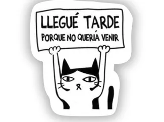Gato "Llegue tarde porque no queria venir"