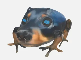 Sapo Cachorro (Frog = Frog + Dog)