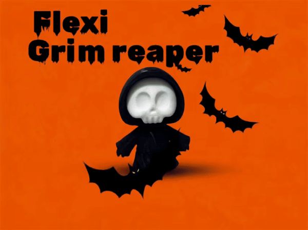 https://makerworld.bblmw.com/makerworld/model/US3343c85dc700cb/design/2025-10-01_e8cde1aa75b8b.gif