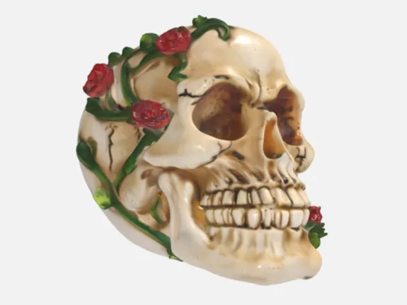 Skull with Rose