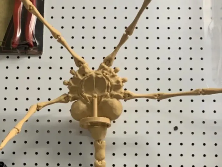 alien face hugger wall mount