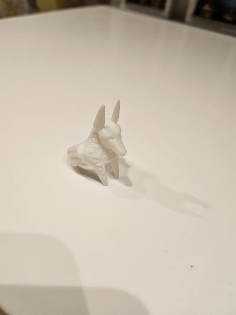 Anubis Ring