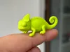 Baby Chameleon (only 4 grams)