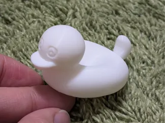 Curiosity Duck