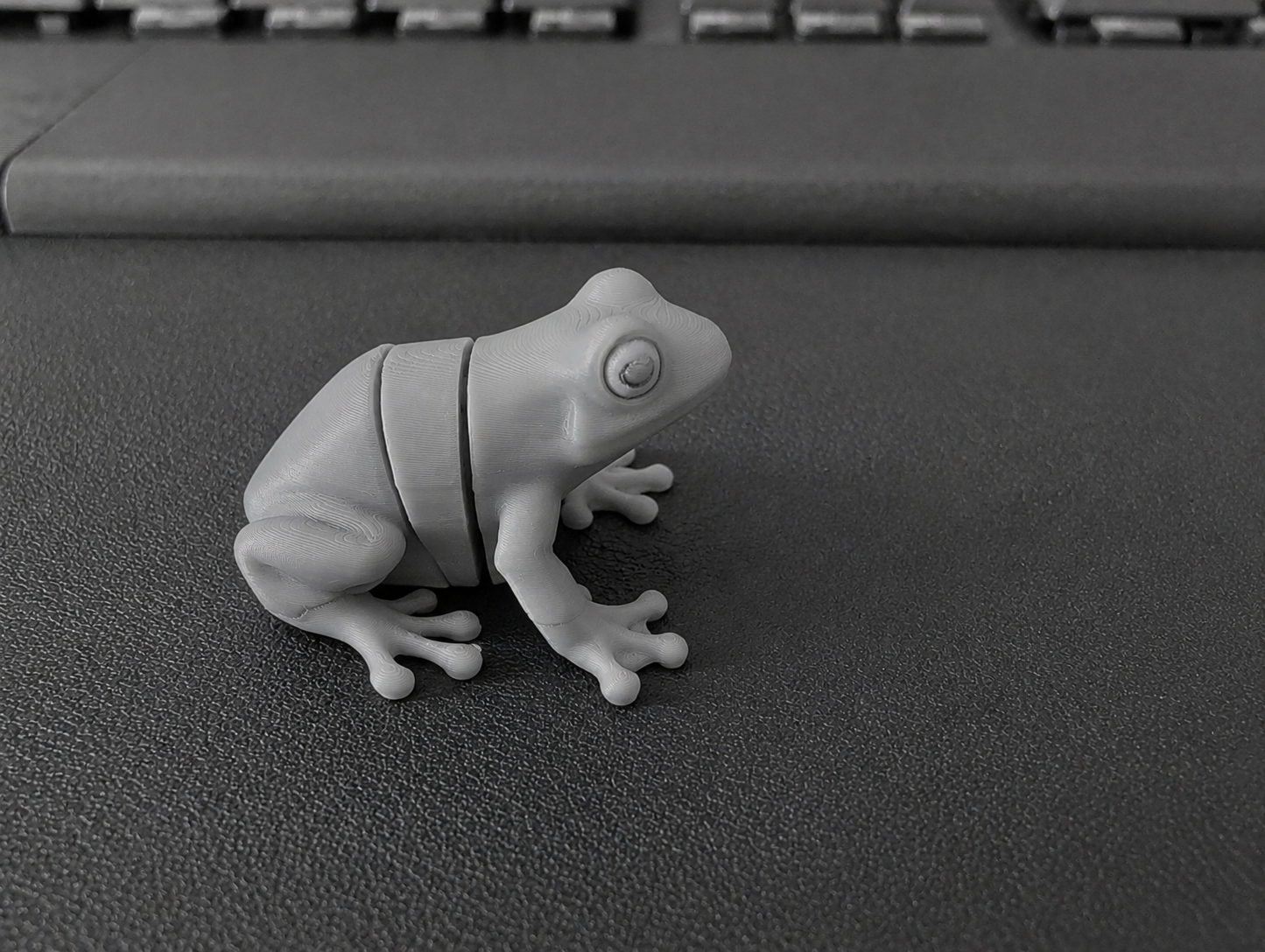 Miniatura 2 do modelo 3D Tiny Tree Frog