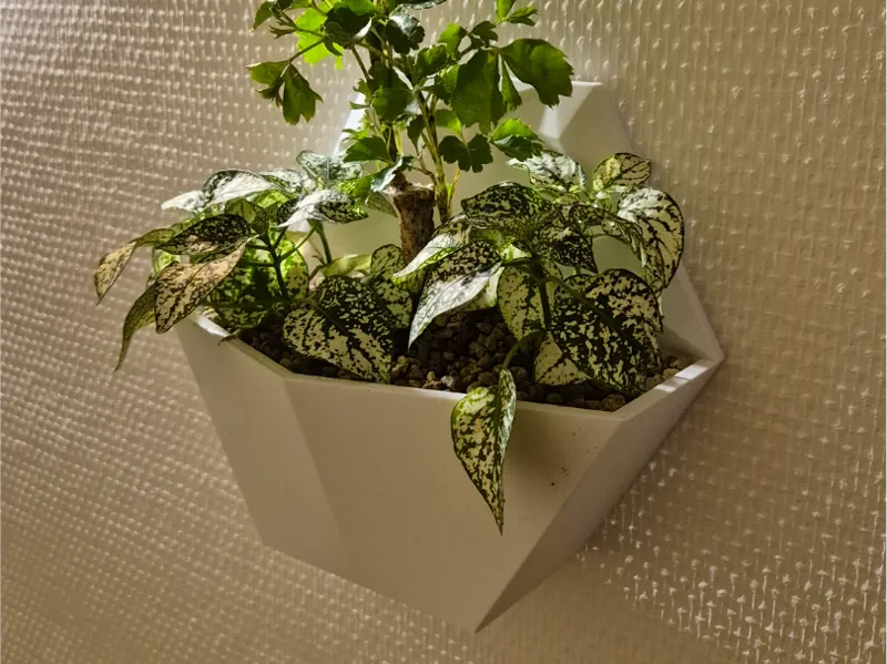 Hex Wall Planter