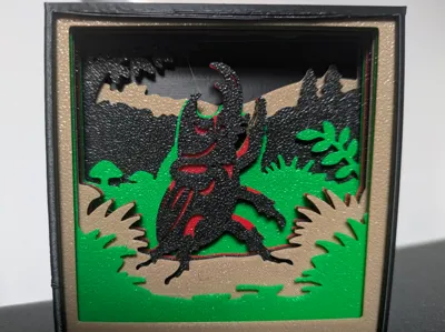 Bettle Shadow Box