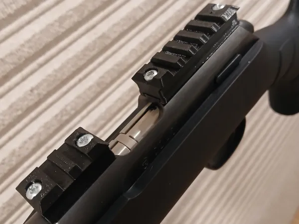 https://makerworld.bblmw.com/makerworld/model/US33565abb281afe/design/2025-09-04_ac9fd2bcb23fa8.jpg