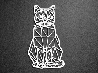 Geometric cat lines