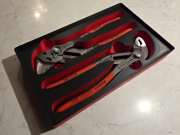 https://makerworld.bblmw.com/makerworld/model/US335a4b7ba56f6c/design/74a36ef6512dfc73.jpg