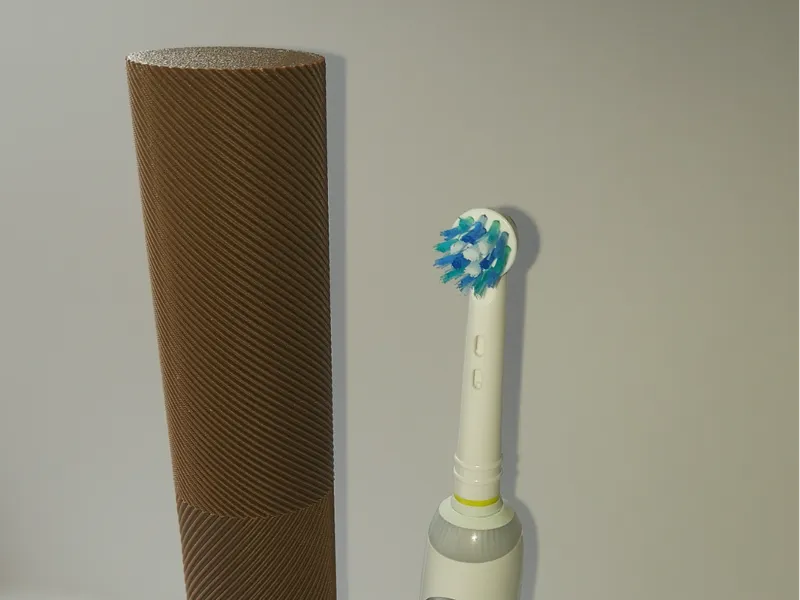 Electric Toothbrush Travel Case