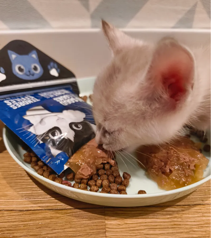 Cat food sachet squeezer