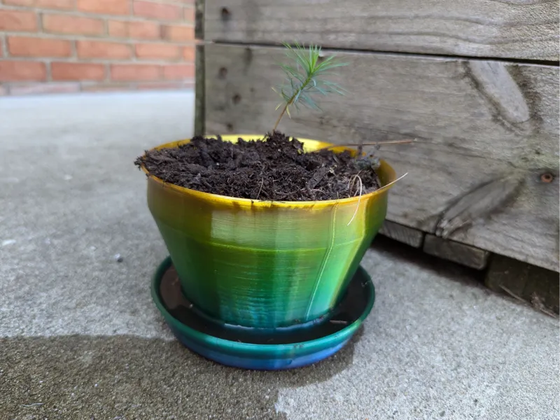 Flower Pot with Tray and Drain Holes 6.5 inch rim