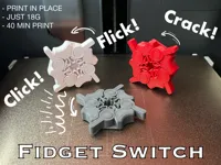 Standard version (recommended)