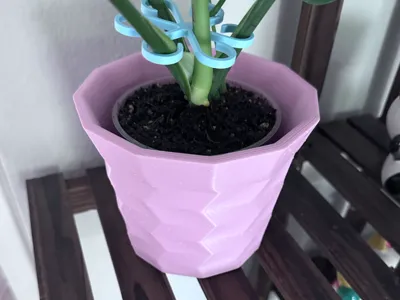 Fragmented Plant Pod