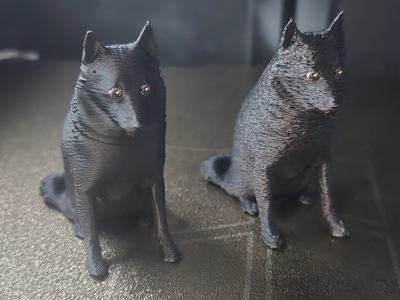 Schipperke