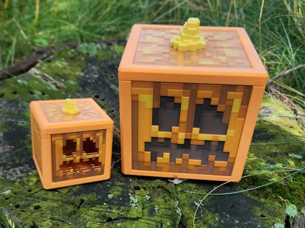 https://makerworld.bblmw.com/makerworld/model/US336dd9511590c4/design/2024-07-26_2f9fd6625609c8.jpg