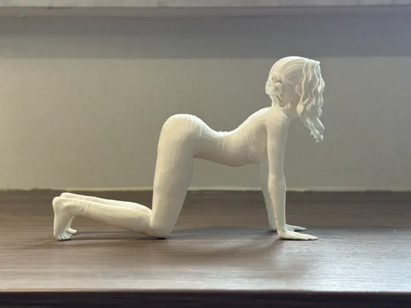 https://makerworld.bblmw.com/makerworld/model/US33714edece6a70/design/2025-06-02_892c39ca9b839.jpg