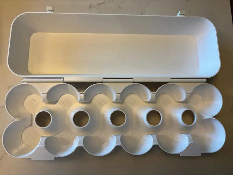 12 Egg Carton