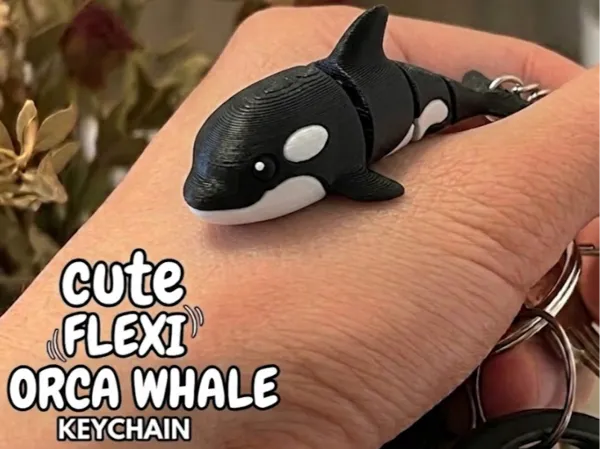 https://makerworld.bblmw.com/makerworld/model/US33781fbb32dc1/design/b8fb6a8db0faad89.png