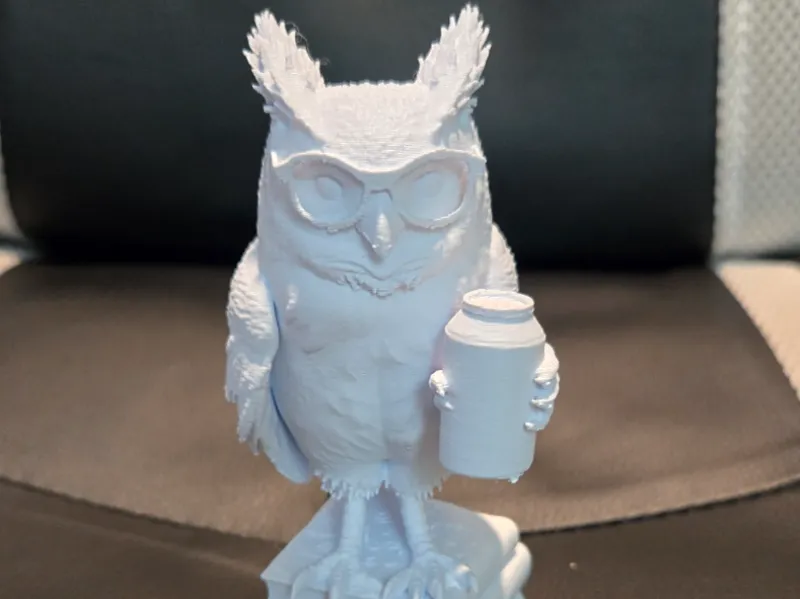 Studious Owl with Can