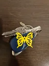 Butterfly Keychain plate of 9