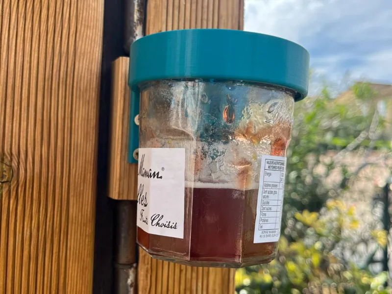 piège à frelon asiatique / hornet trap