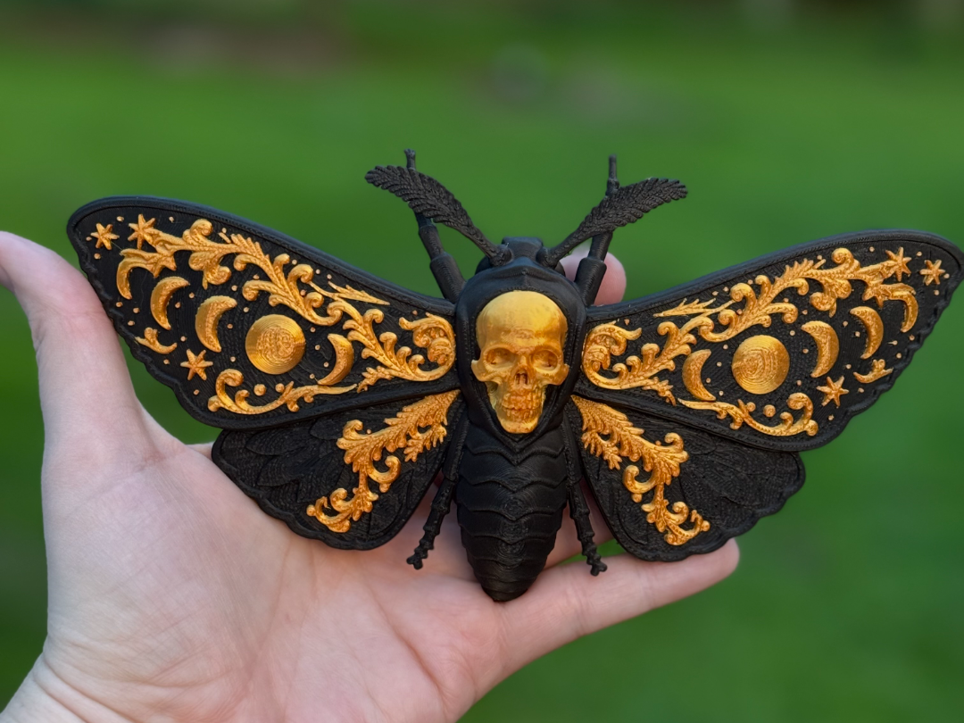 Deaths Head Moth Moon Phases - 1