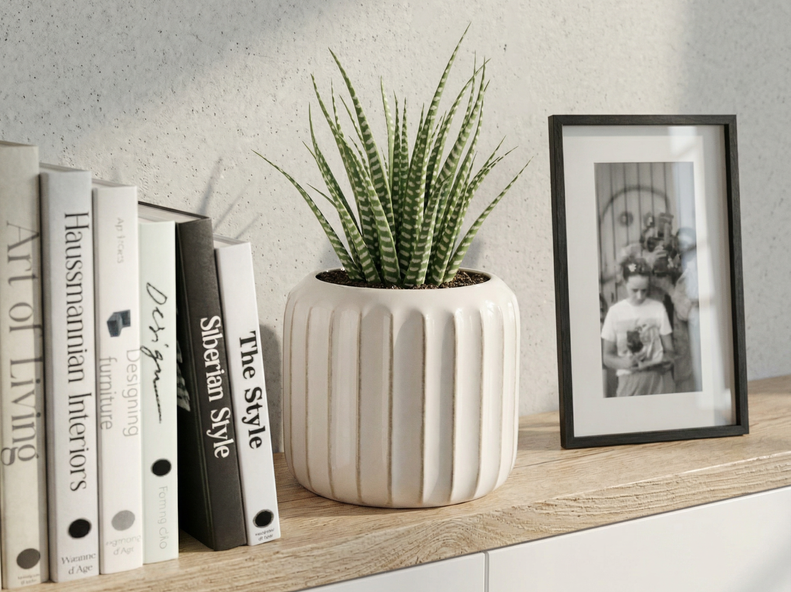 Minimalist Plant Pot | Succulent Planter