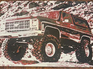 Bronco Canvas Art
