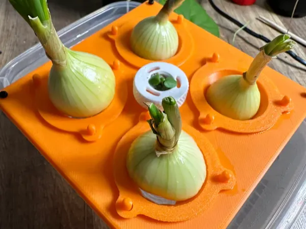 https://makerworld.bblmw.com/makerworld/model/US33939a2b071a66/design/2024-10-20_e68caeb989398.webp