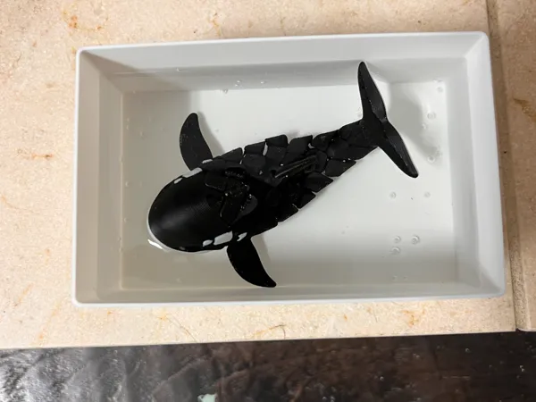 https://makerworld.bblmw.com/makerworld/model/US33971c52afcc76/design/eacaea9119c3d4c6.jpg