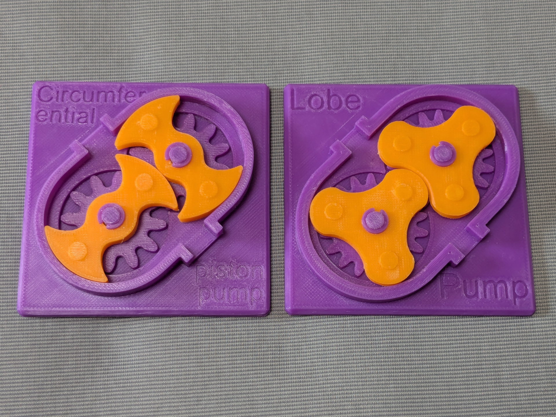 Miniatura 1 do modelo 3D External Pumps - Educational Model