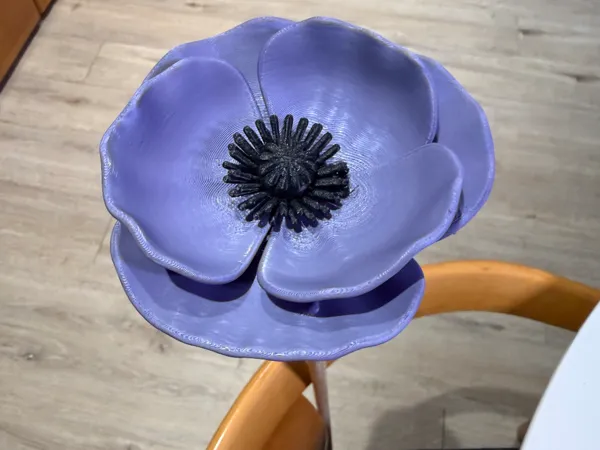 https://makerworld.bblmw.com/makerworld/model/US3399c9a381a3a7/design/dc2c2640b867cea7.jpg