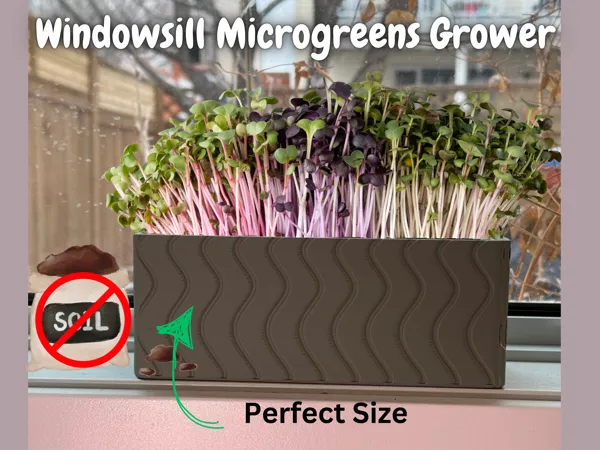 https://makerworld.bblmw.com/makerworld/model/US33a0fa80117178/design/2025-03-13_42e882b55b412.png