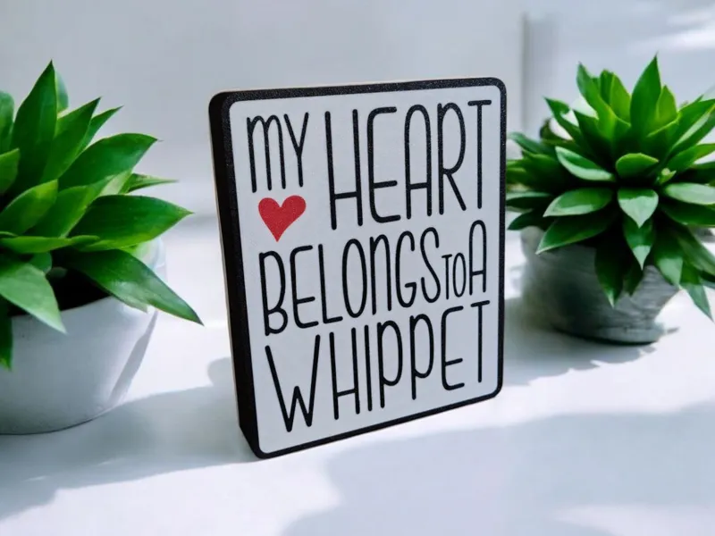 Desk Sign - My Heart Belongs to a Whippet