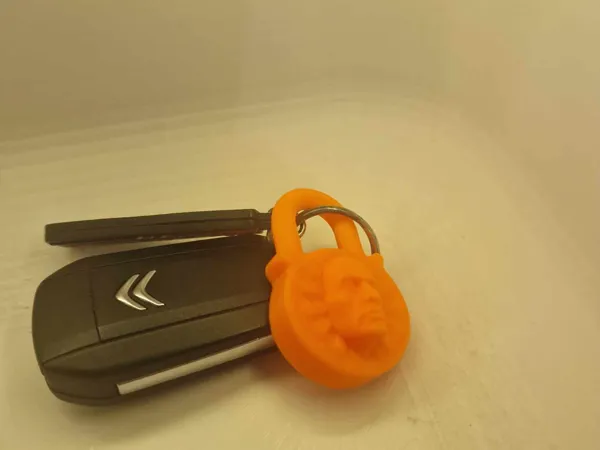 https://makerworld.bblmw.com/makerworld/model/US33a7a1988302ad/design/2024-11-17_8ebd11c407966.jpg