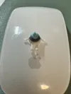 Multi Color poop