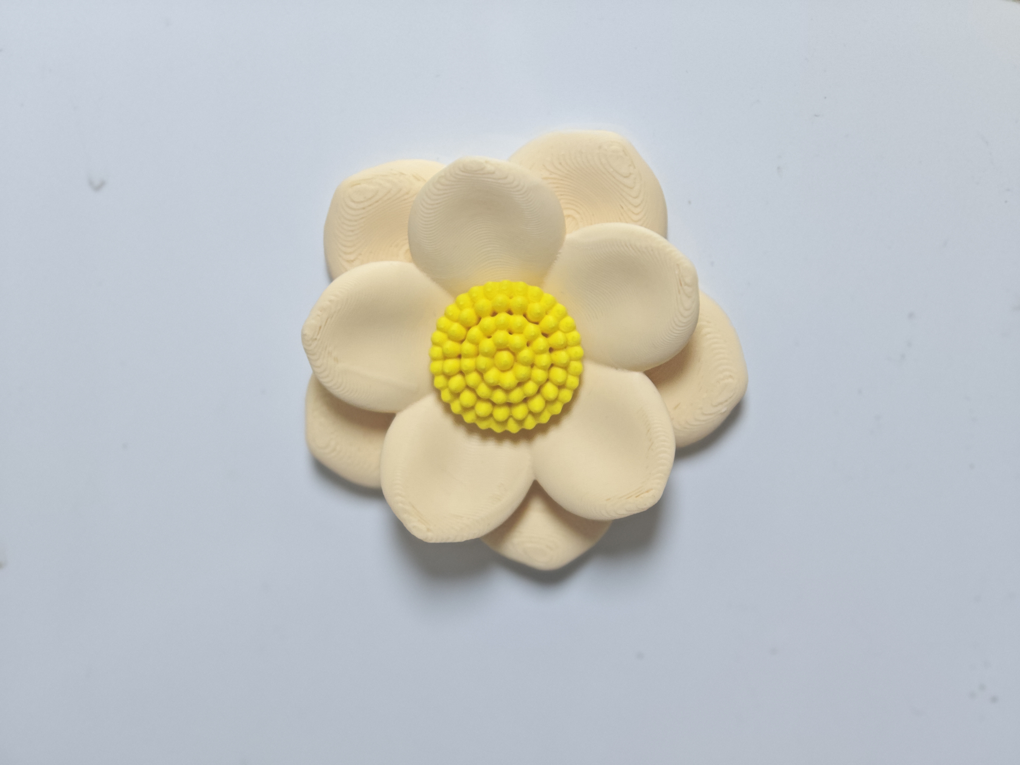 Miniatura 2 do modelo 3D 花花立体冰箱贴-水仙花-芙蓉花-荷花=菊花-山茶花等