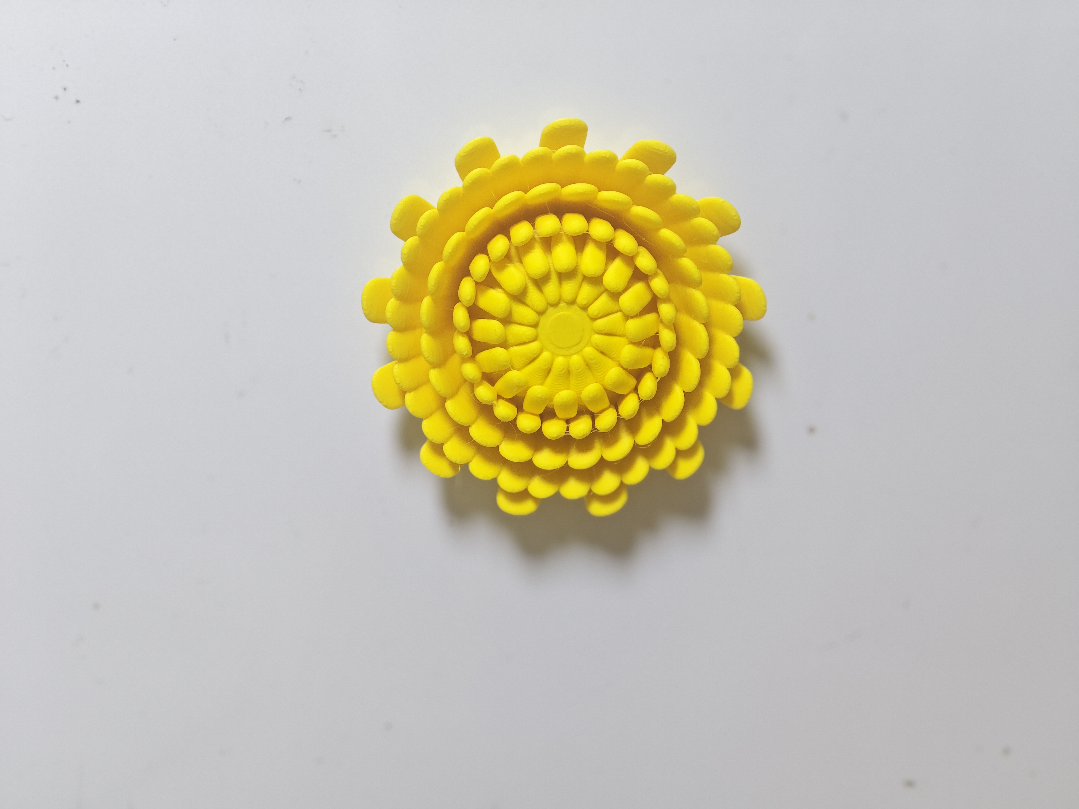 Miniatura 5 do modelo 3D 花花立体冰箱贴-水仙花-芙蓉花-荷花=菊花-山茶花等